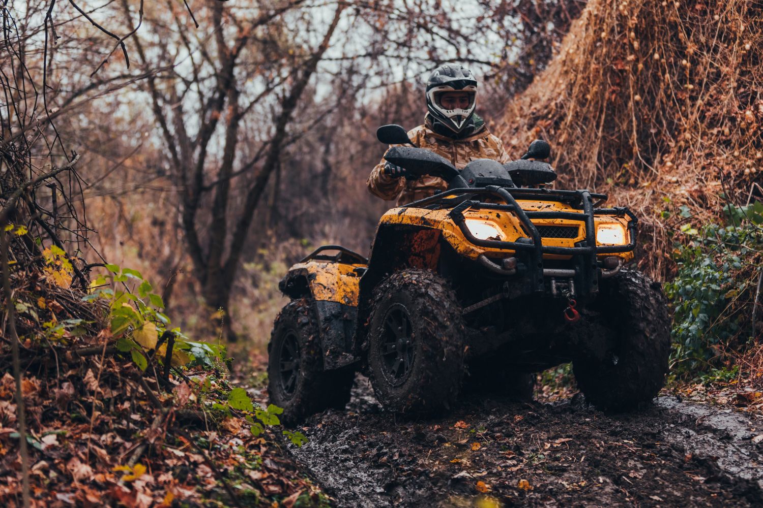 ATV
