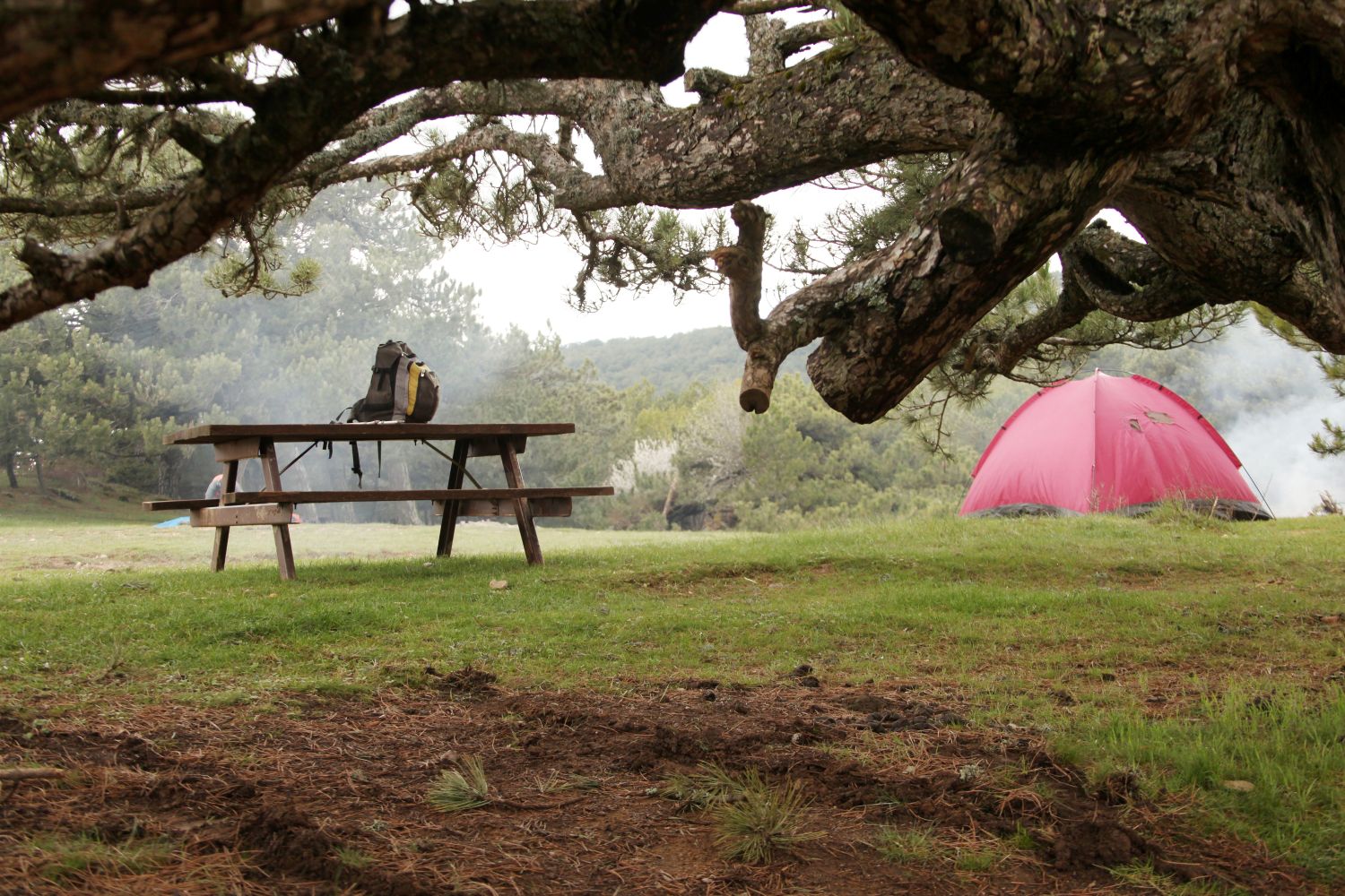 Campsites in the national park