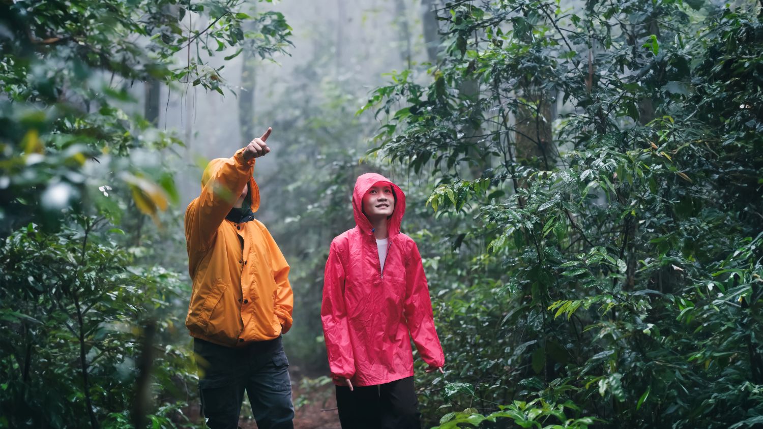 Exploring during the rainy season