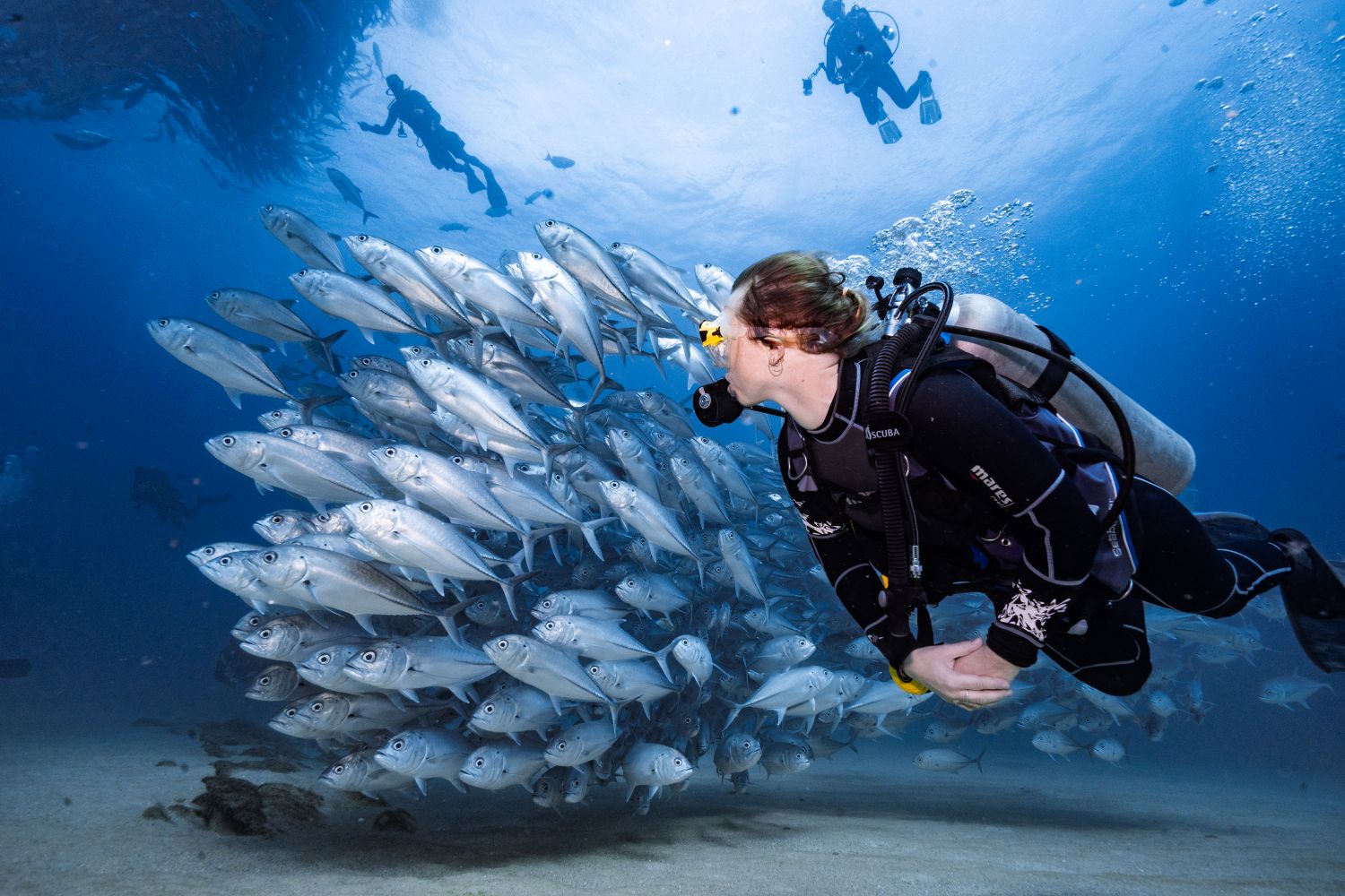 Scuba diving