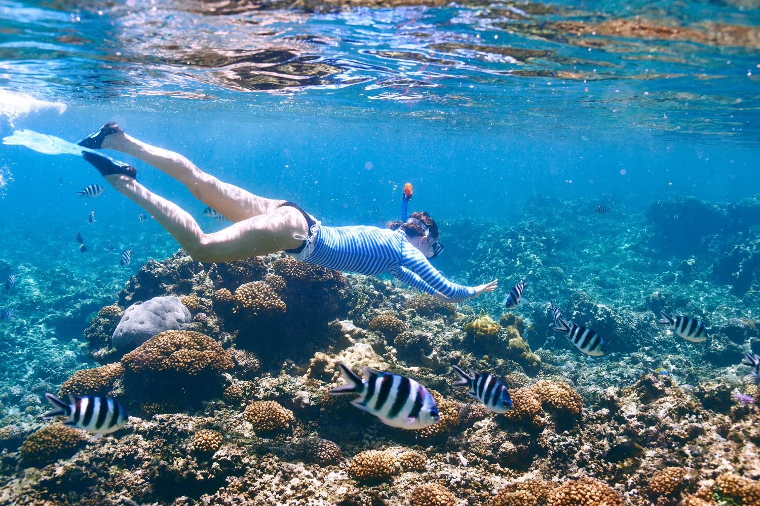 Snorkeling activities