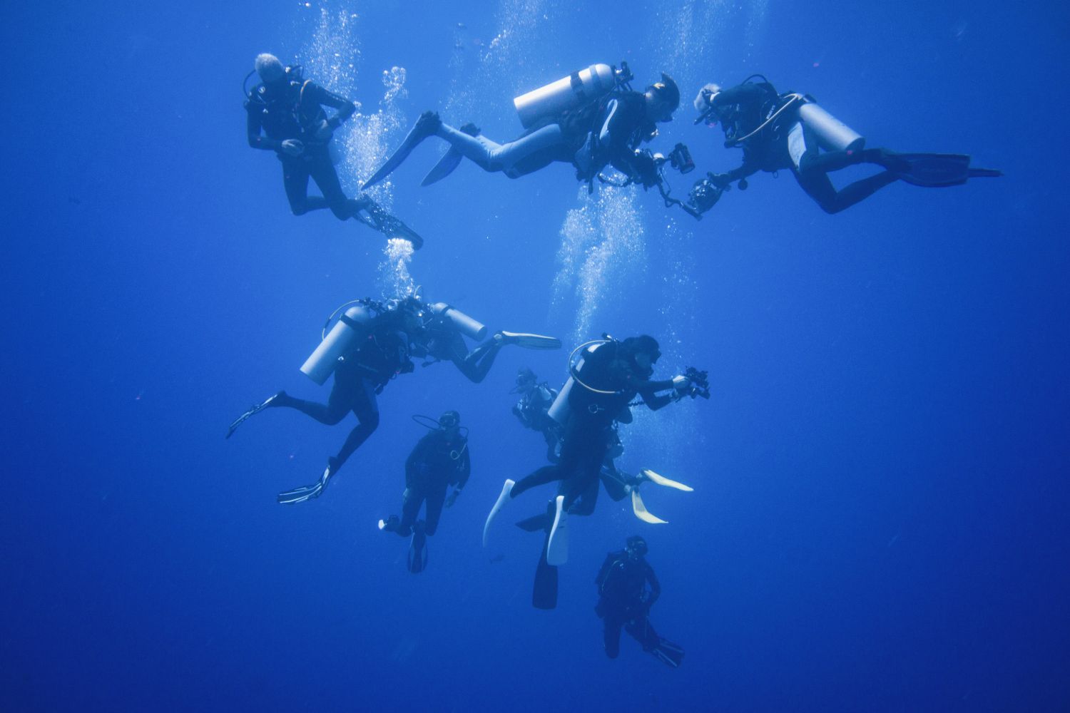 Types of Diving
