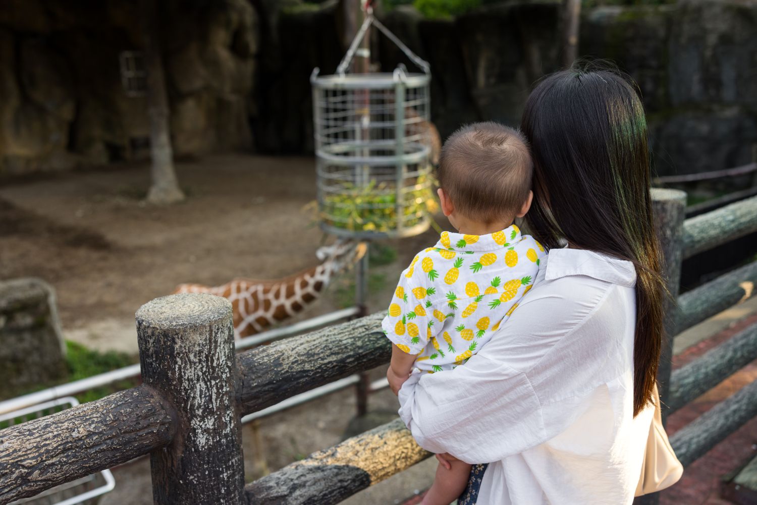 Visit an open zoo.