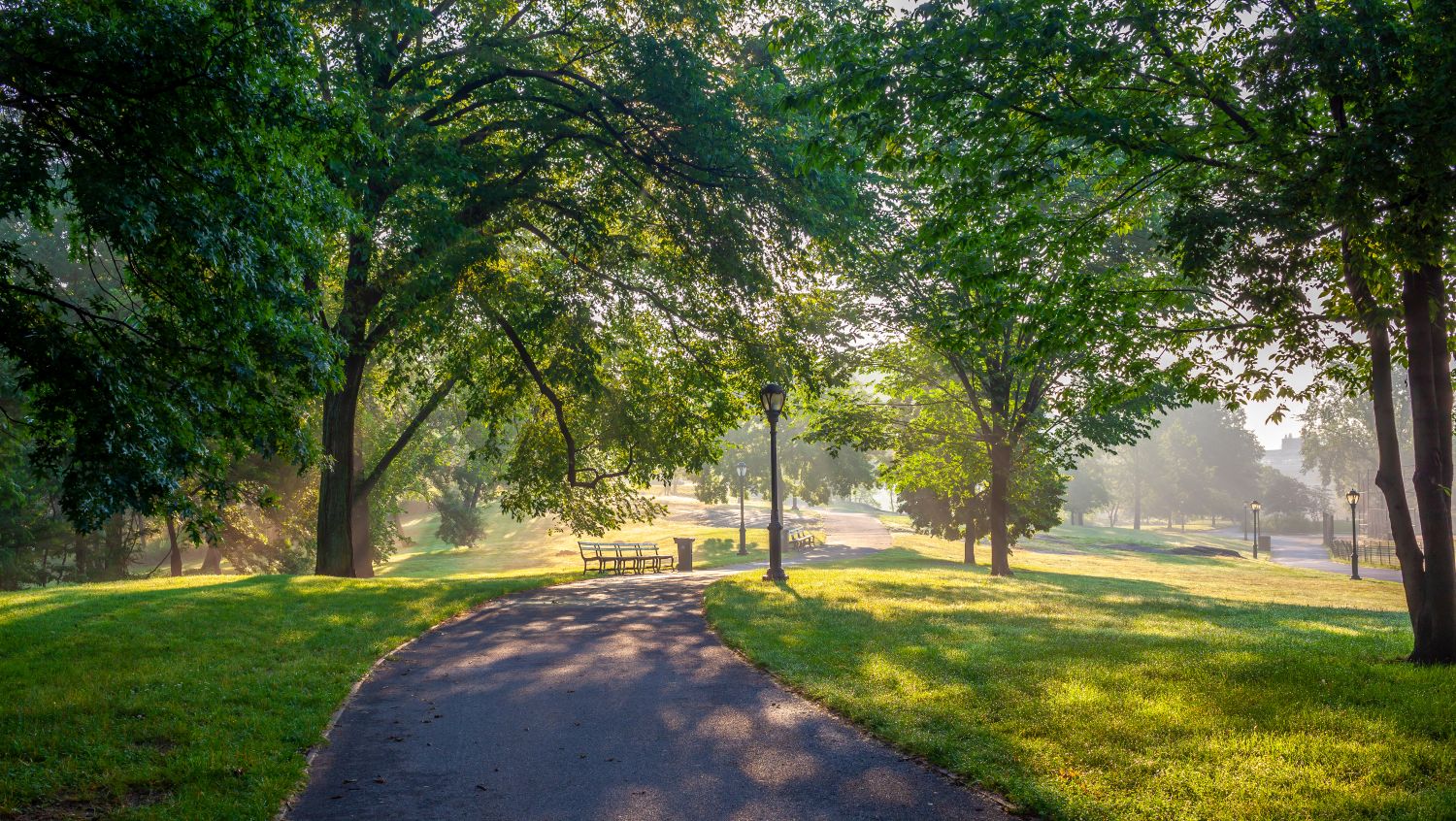 park